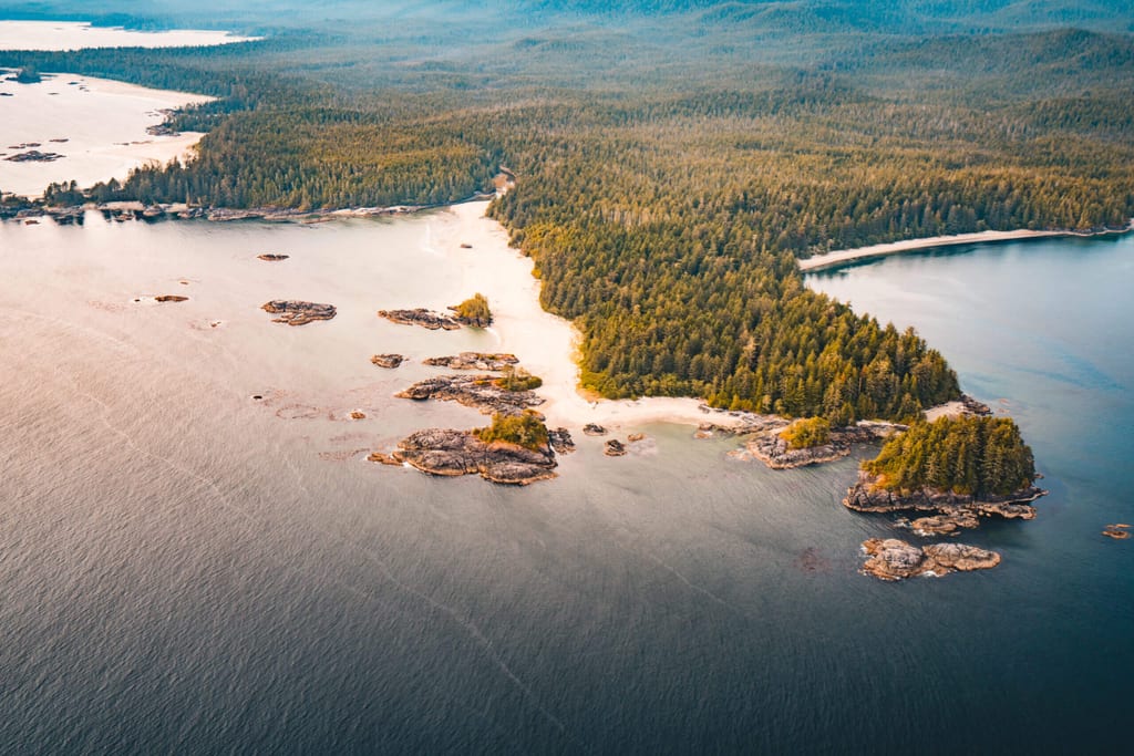 Küstenregenwald auf Vancouver Island