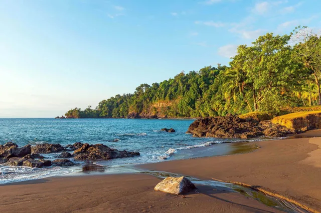 Tropischer Sandstrand mit Felsen, Palmen und regennwaldbedeckten Klippen im goldenen Abendlicht in Costa Rica.