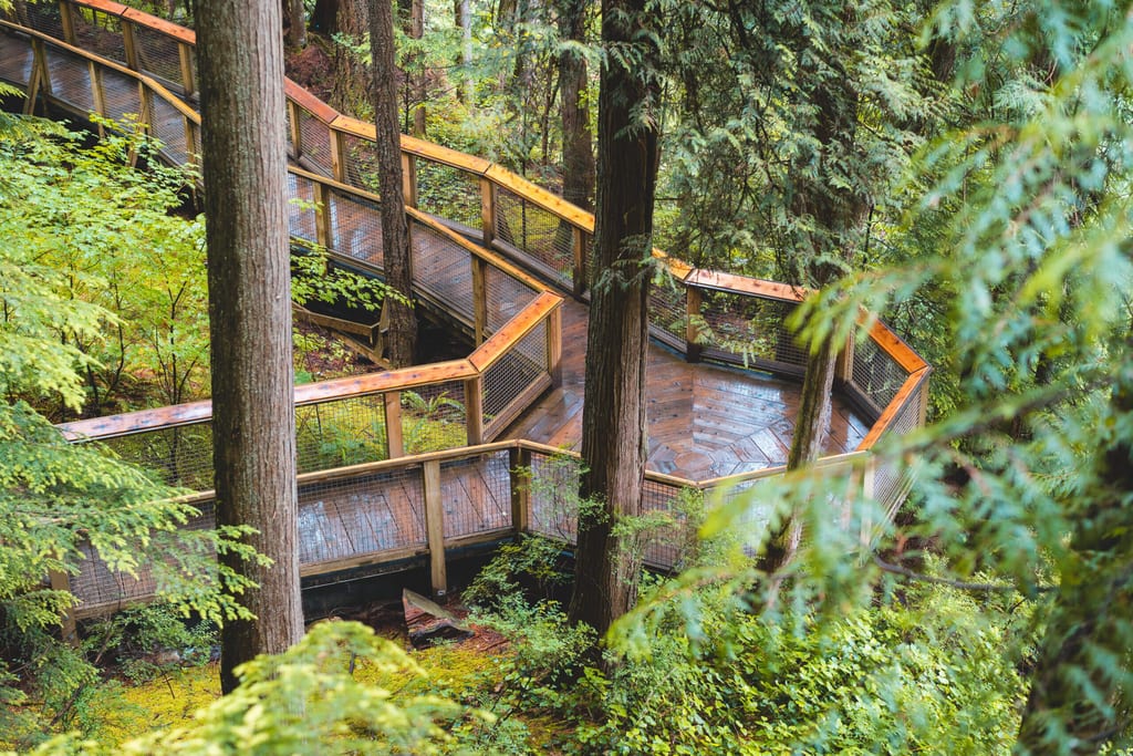 Capilano Suspension Bridge Park in Vancouver