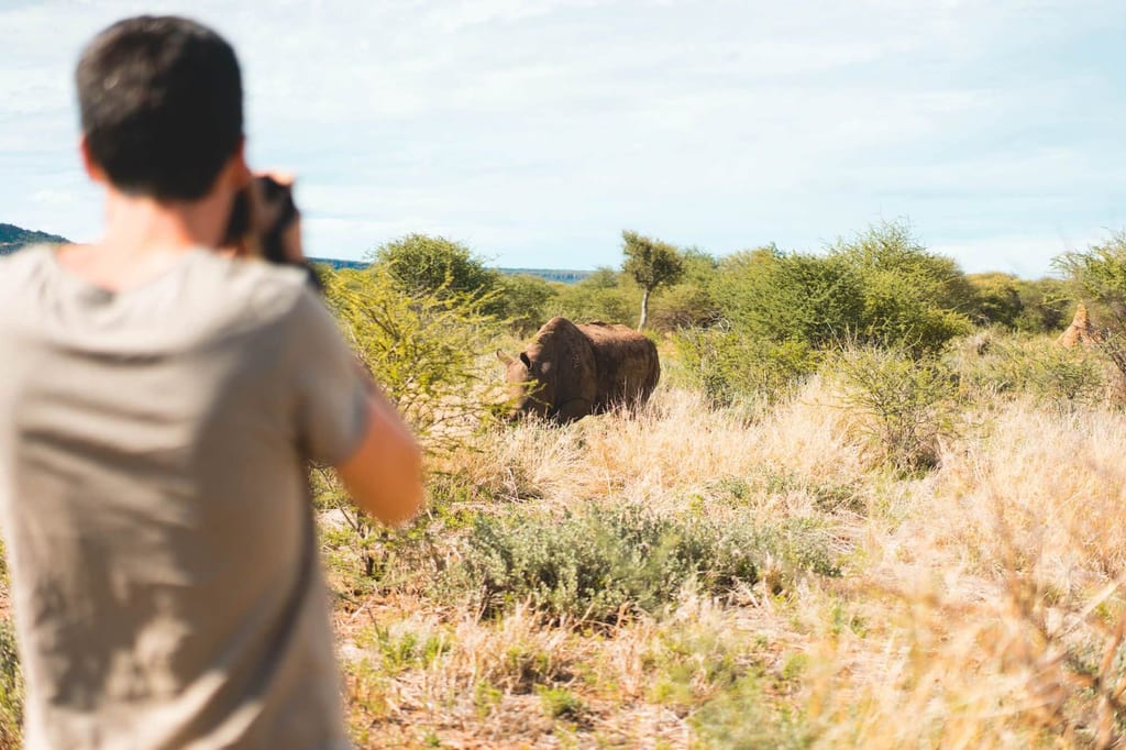 Ein Nashorn steht vor uns im hohen Gras am Fuße des Waterbergs