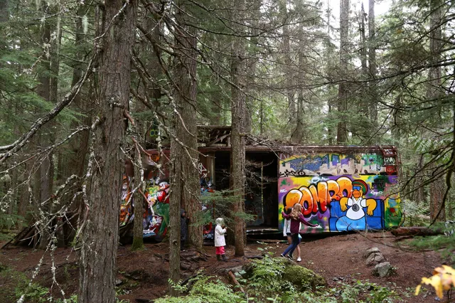 Graffiti-bemalter Wagen im dichten Nadelwald, drei Personen davor, diffuses Tageslicht
