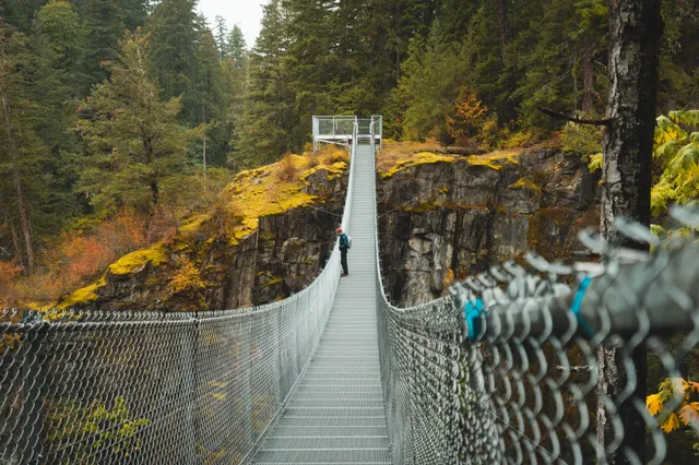 Zentrierte Hängeseilbrücke über Schlucht mit einer Person und herbstlichem Nadelwald im Hintergrund