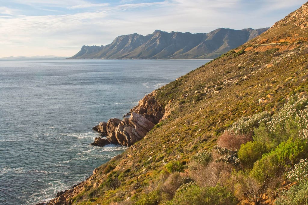 Vegetationsbewachsener Küstenhang mit Felsklippen, Meer und entfernten Bergen im warmen Nachmittagslicht.