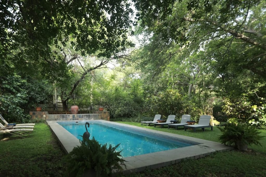 Rechteckiger Pool in schattigem Garten mit Liegen und dichter Vegetation