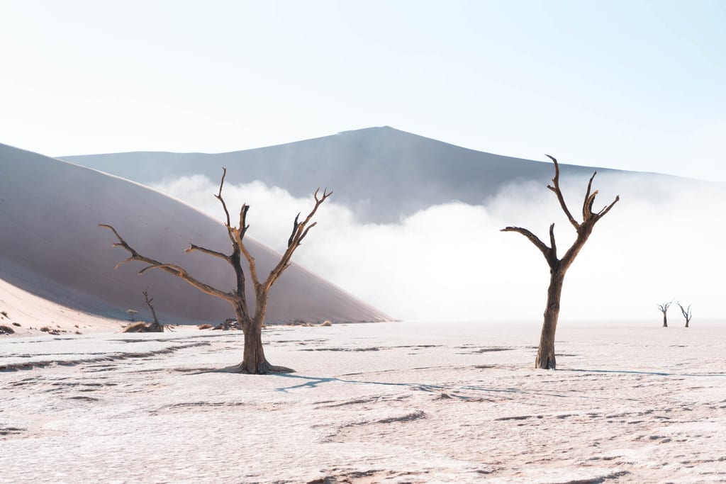 Nebel verzieht sich im Deadvlei