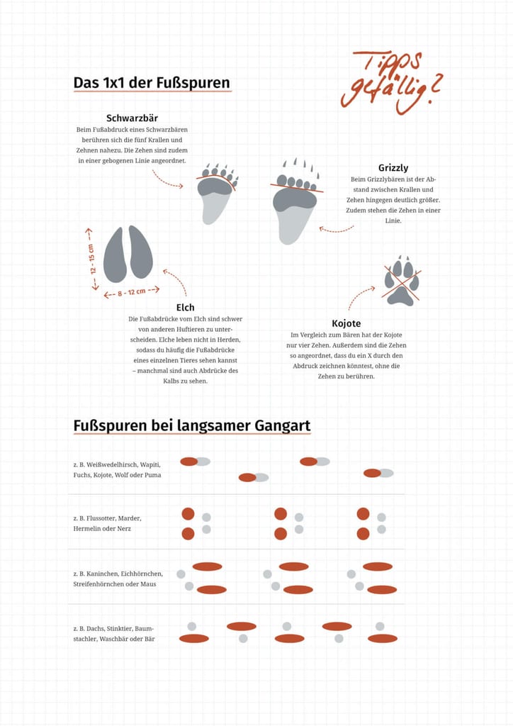 Tipps zum Spurenlesen
