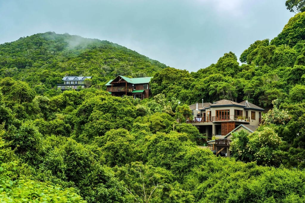 Lodges und Häuser in dichtem grünen Küstenwald auf einem Hügel bei bewölktem Himmel in Wilderness, Südafrika.