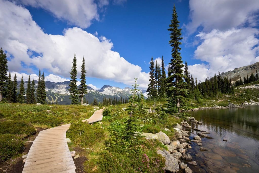 Bohlenweg führt durch alpine Wiesen zu einem Bergsee mit Nadelbäumen und Gipfeln im Hintergrund
