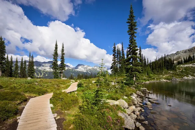 Bohlenweg führt durch alpine Wiesen zu einem Bergsee mit Nadelbäumen und Gipfeln im Hintergrund