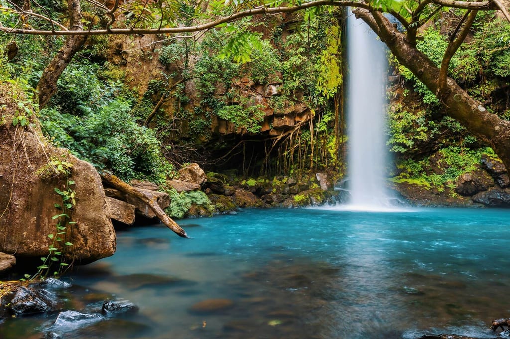 Wasserfall fällt in ein türkisblaues Becken, umgeben von moosigen Felsen und dichtem Wald