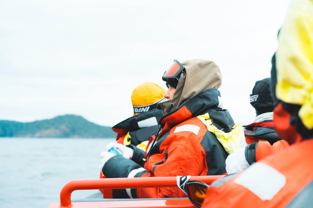 Whale Watching auf Vancouver Island