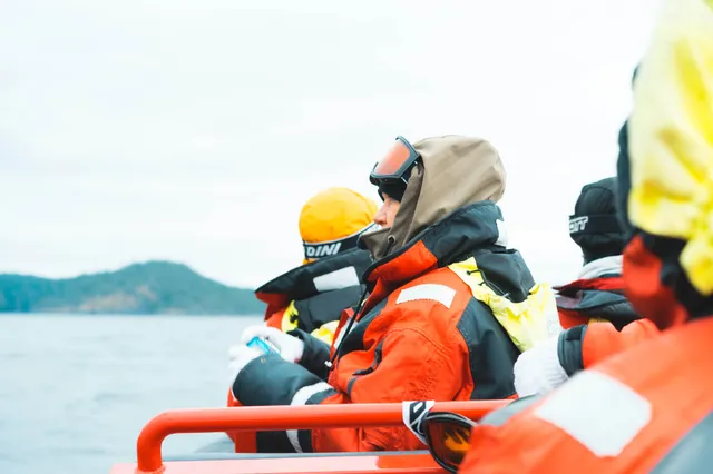 Whale Watching auf Vancouver Island
