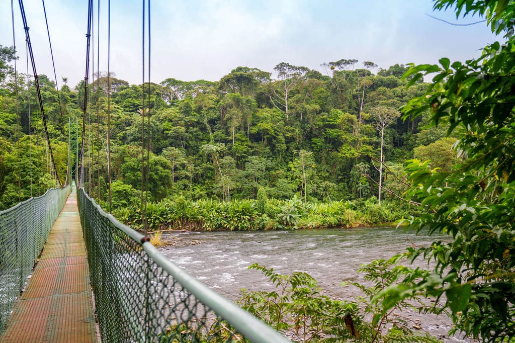 Hängebrücke über einen Fluss mit dichtem Regenwald bei bewölktem Tageslicht in Puerto Viejo de Sarapiquí, Costa Rica.