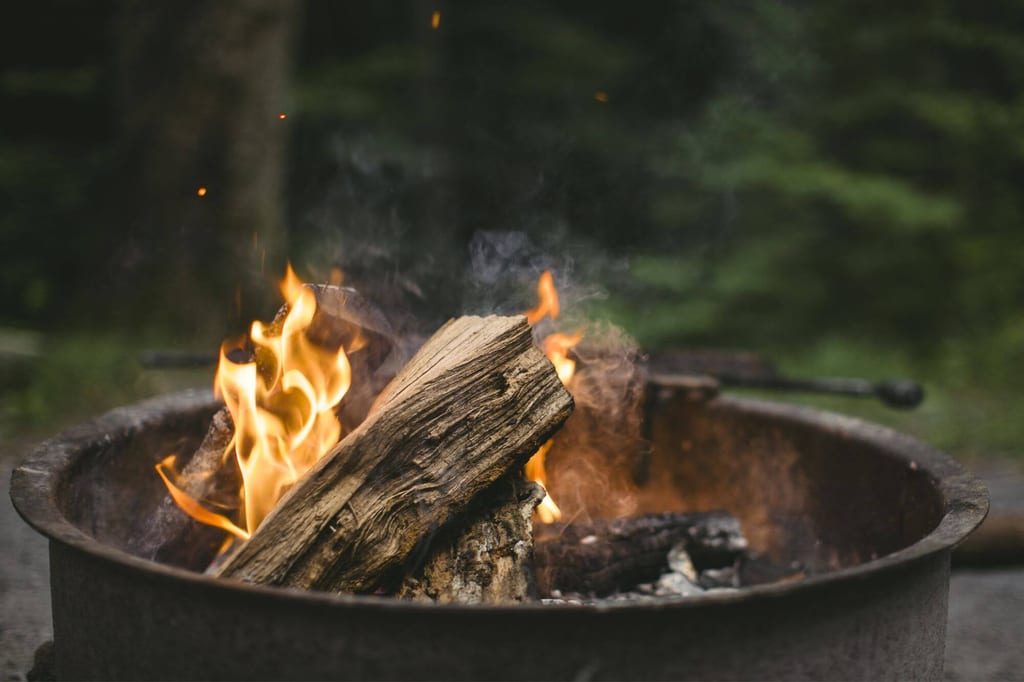 Nahaufnahme eines brennenden Lagerfeuers in einer Metallfeuerschale vor verschwommenem Waldhintergrund.