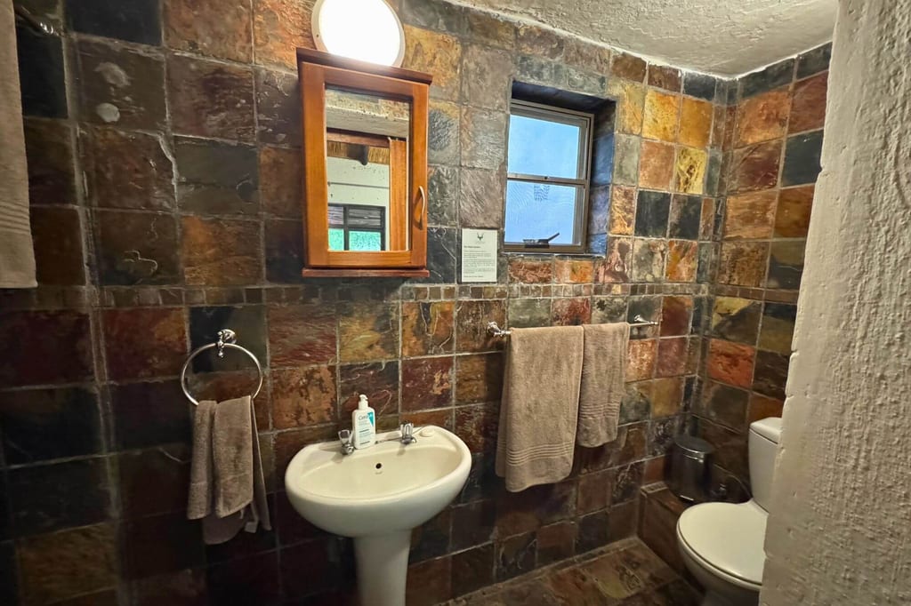 Kleines rustikales Badezimmer mit dunklen Schieferfliesen, Waschbecken, Spiegelschrank und Toilette.