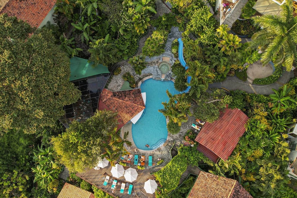 Vogelperspektive auf ein tropisches Resort mit Pool, Palmen und Liegestühlen