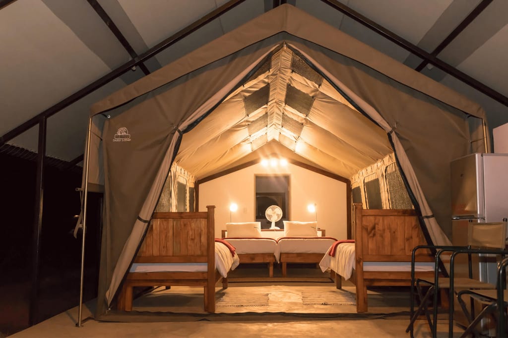 Innenansicht eines beleuchteten Glamping-Zeltes mit zwei Holzbett‑Einzelbetten und Ventilator.
