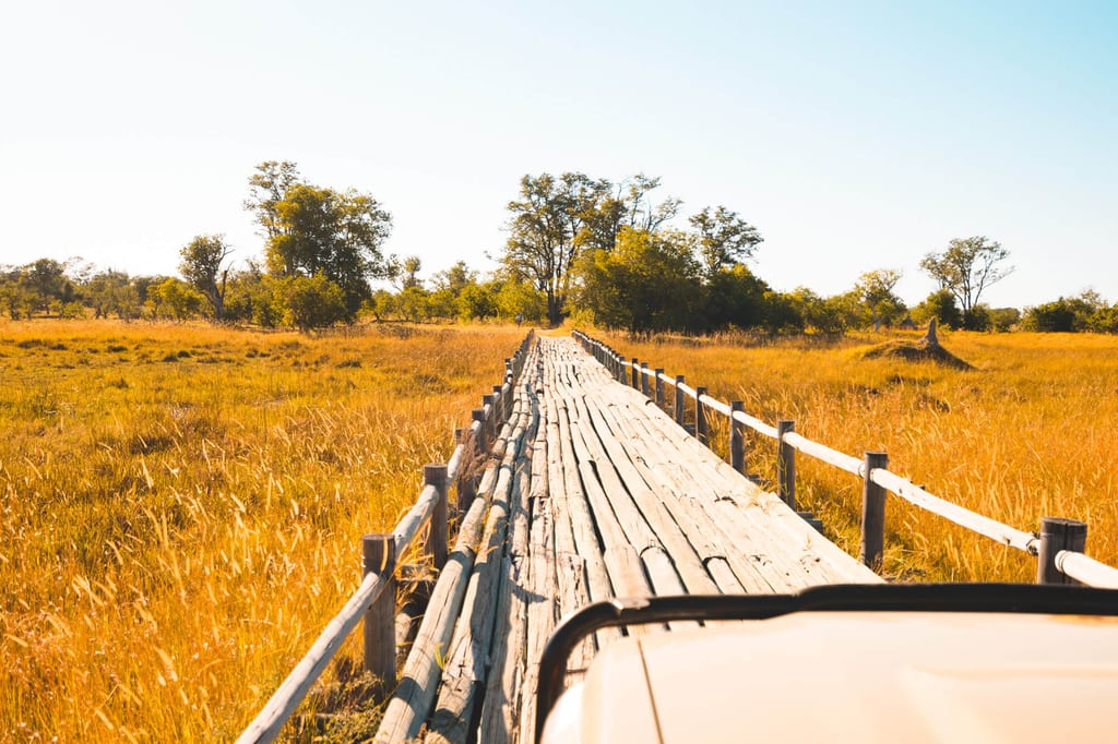 Mit dem Auto durch Botswanas Nationalparks