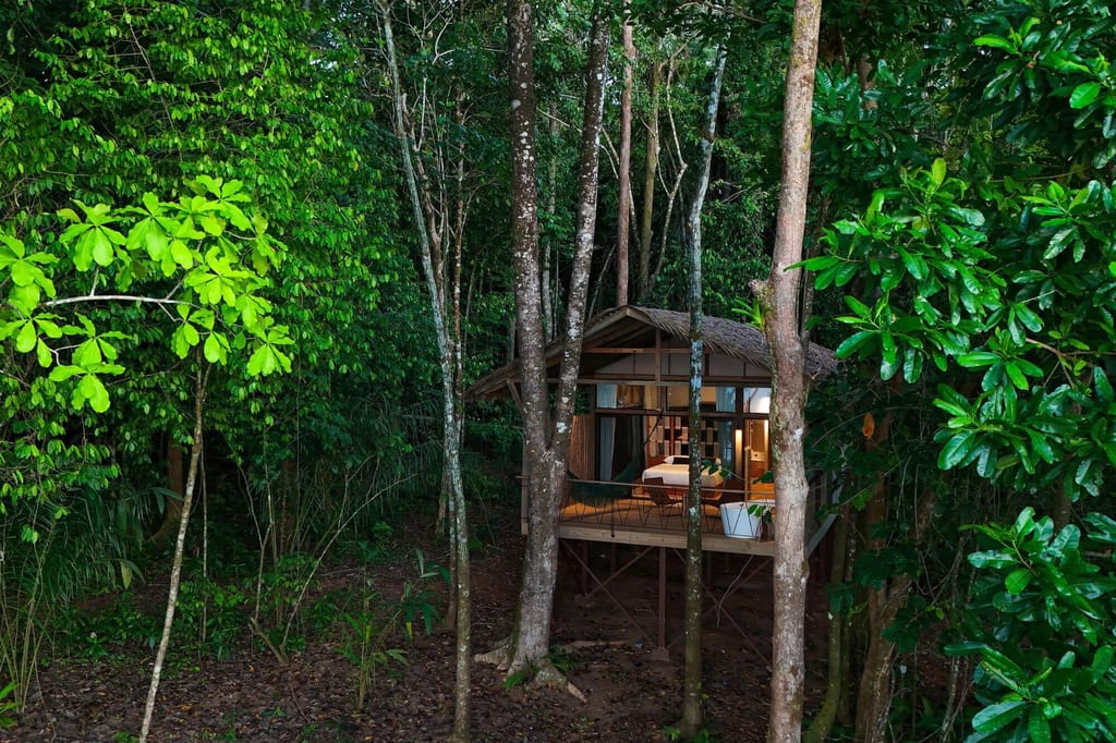 Erleuchteter Bungalow auf Stelzen im dichten Regenwald am Abend, gesehen durch Vorderbäume.