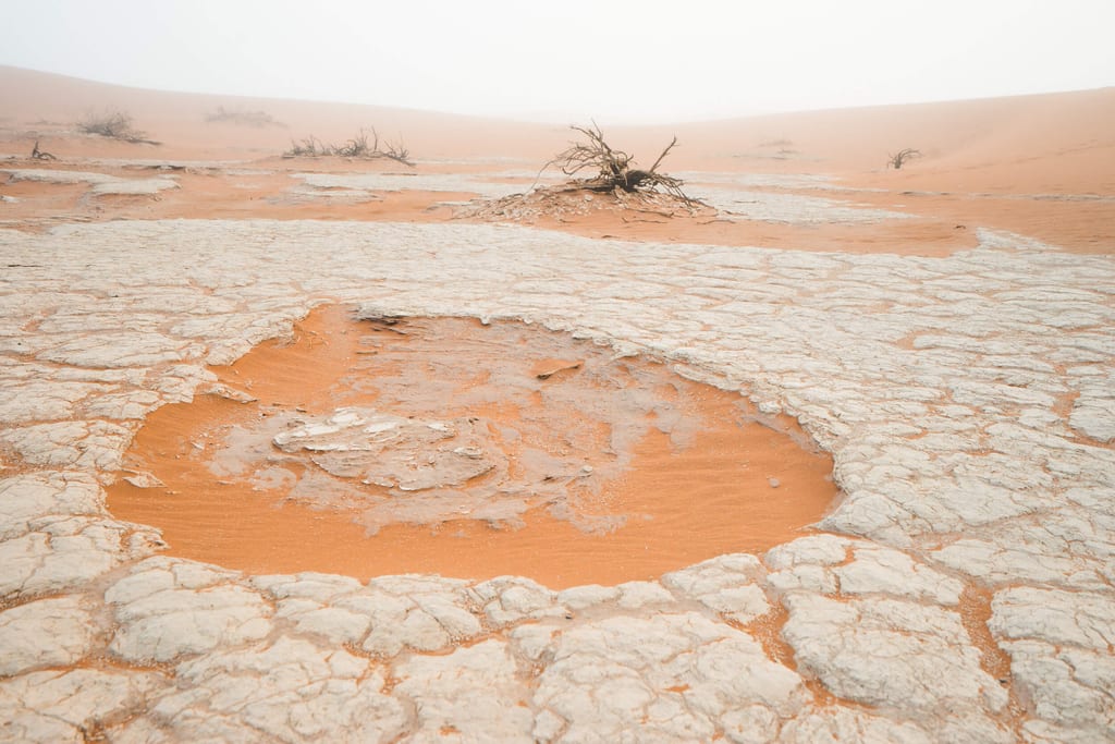 Salz-Ton-Pfanne des Sossusvlei