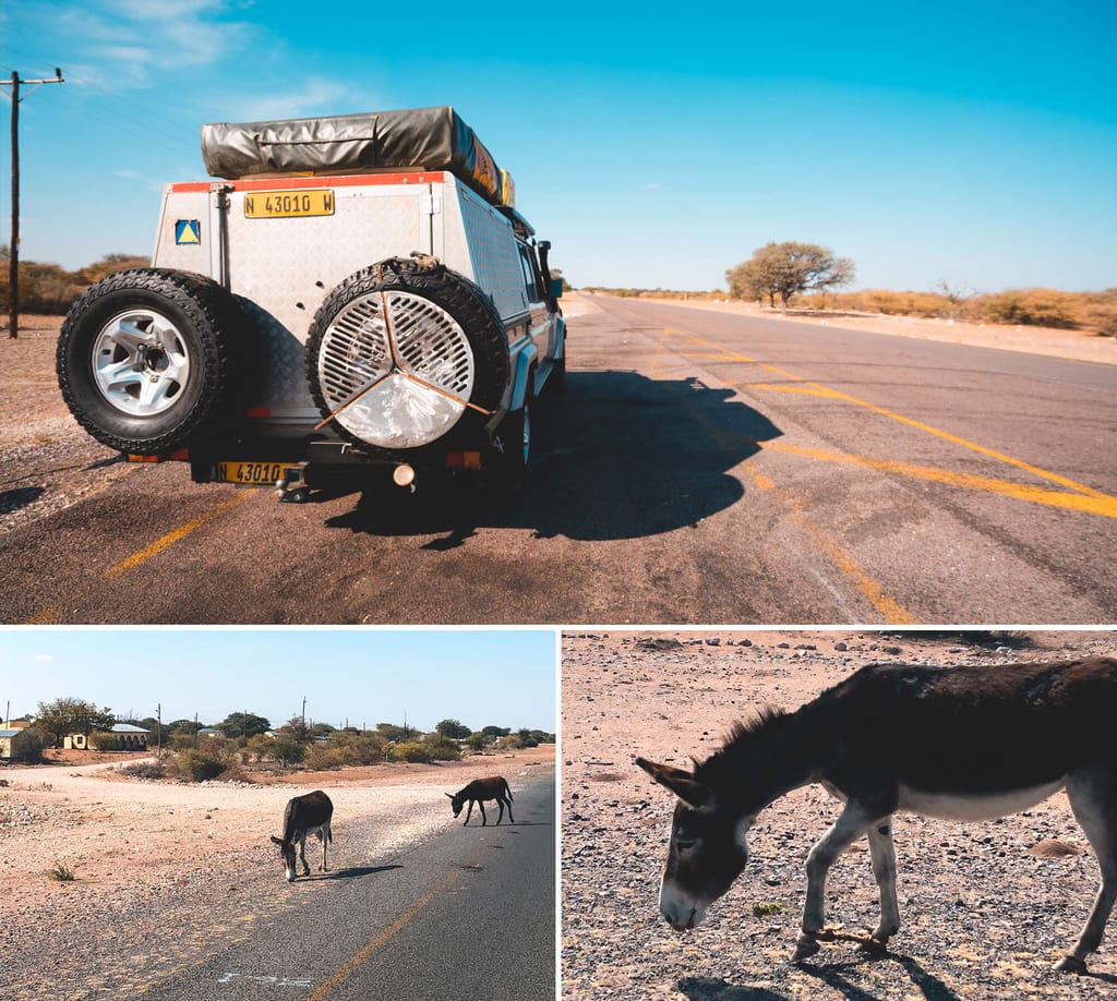 Rundreise durch Botswana