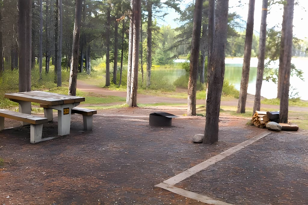 Picknickplatz mit Tisch, Feuerstelle und Brennholz in einem Kiefernwald neben einem See