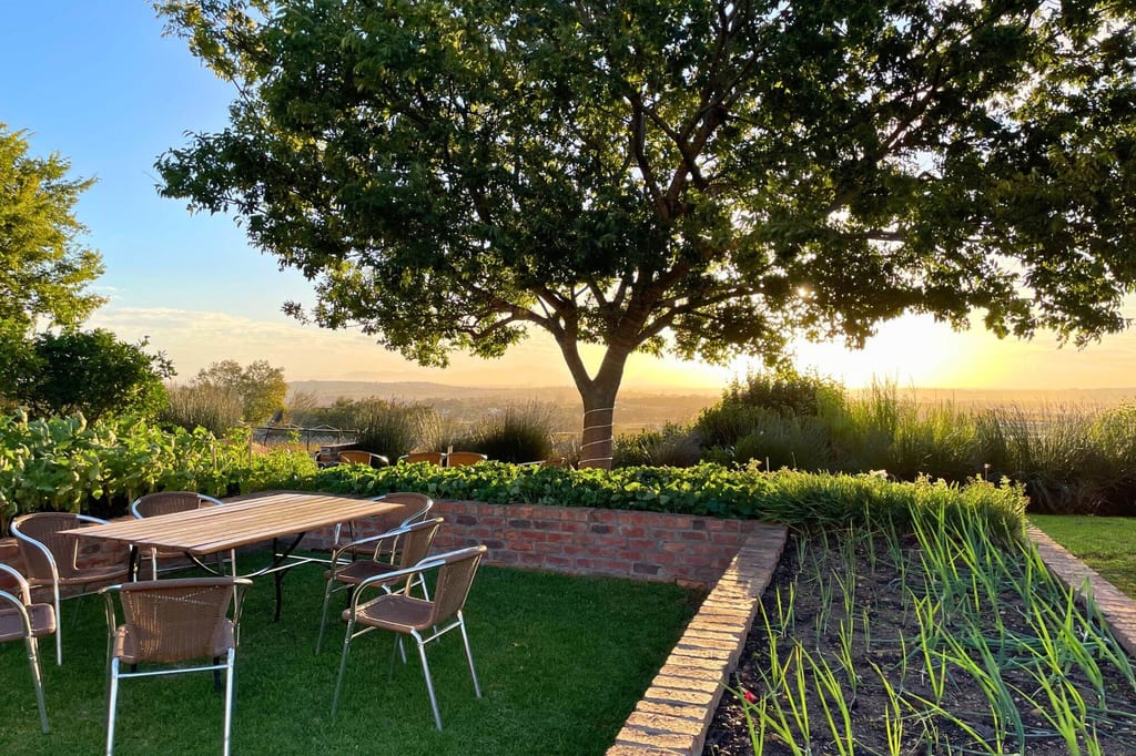 Garten mit Tisch und Stühlen unter Baum bei goldenem Sonnenuntergang, Ziegelbeete im Vordergrund.