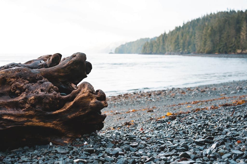 Ein einsamer Strand an der Johnstone Strait