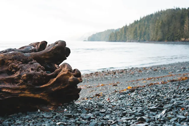 Ein einsamer Strand an der Johnstone Strait