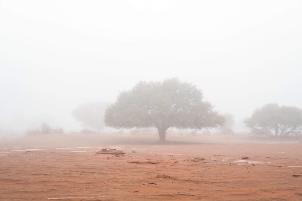 Namib Wüste im morgendlichen Nebel