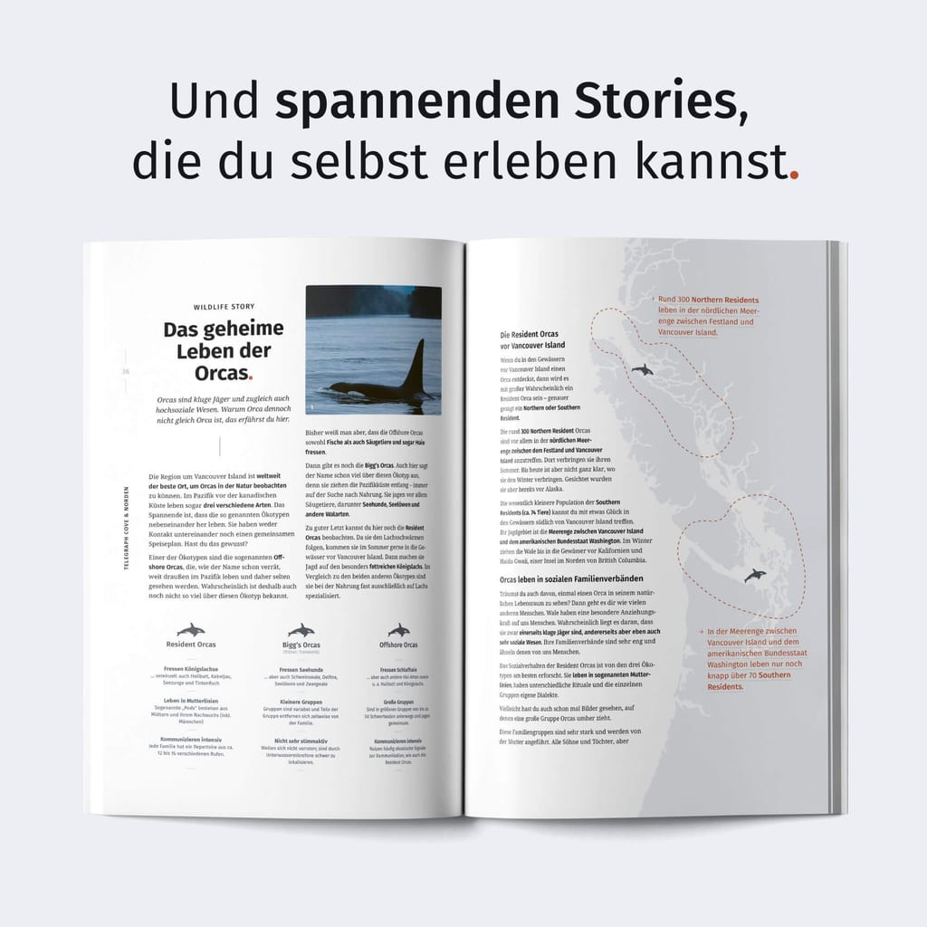 Aufgeschlagene Magazin-Doppelseite mit Artikel, Karte und kleinen Meeressäuger-Silhouetten.