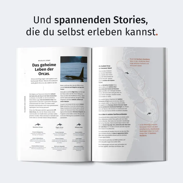 Aufgeschlagene Magazin-Doppelseite mit Artikel, Karte und kleinen Meeressäuger-Silhouetten.