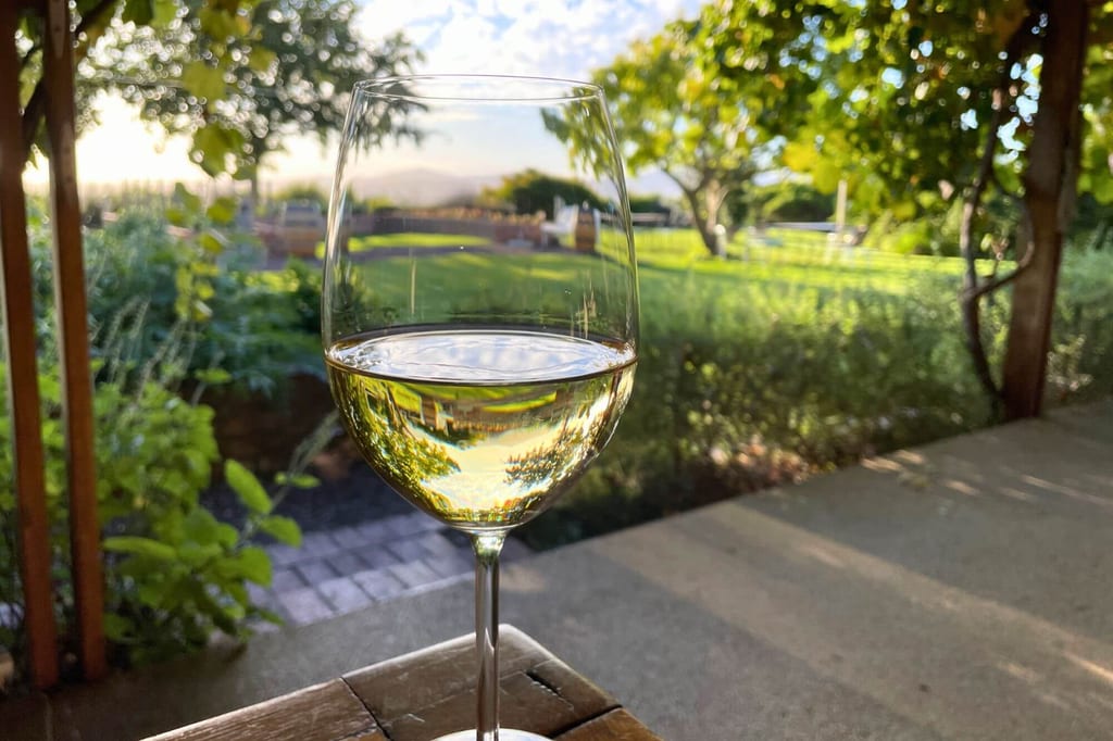 Weinglas mit Weißwein auf Holztisch vor sonniger Garten- und Terrassenlandschaft