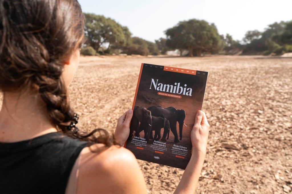 Person von hinten hält Reiseführer „Namibia“ mit Elefanten-Cover in trockener, sonniger Landschaft