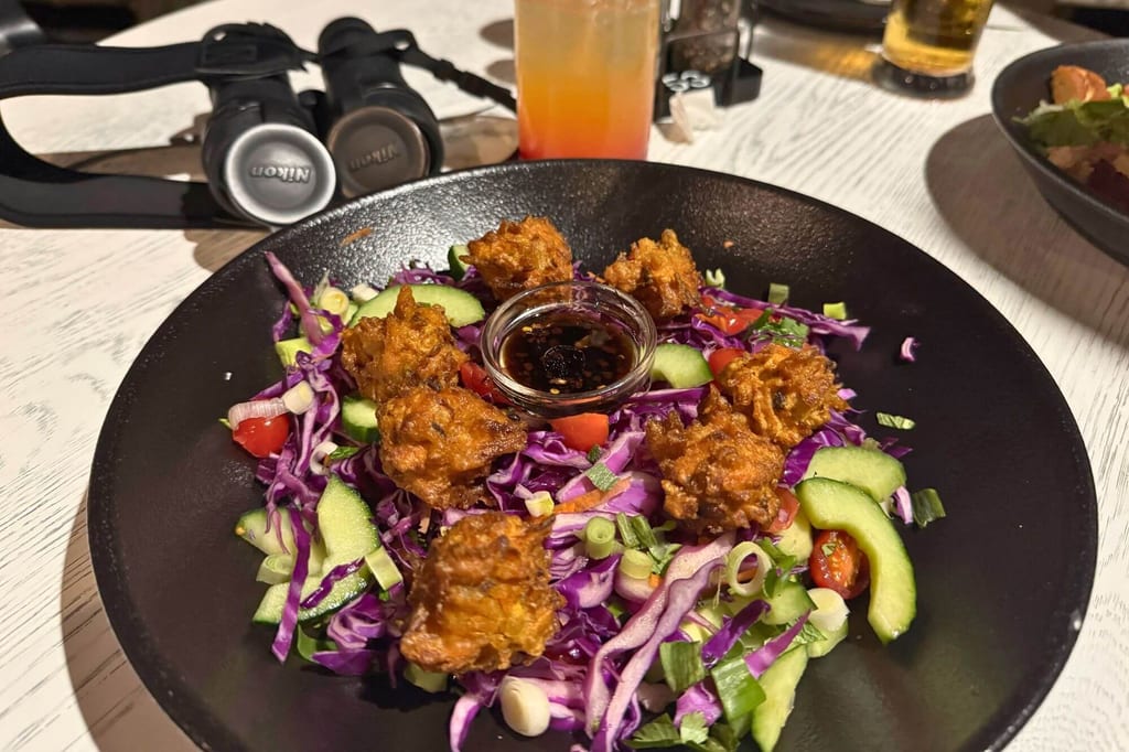 Schale mit frittierten Bällchen auf Rotkohlsalat und Dip, Getränke und Fernglas im Hintergrund.