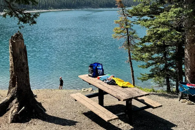 Picknicktisch am Waldufer mit Blick auf einen ruhigen See und eine Person am Ufer.