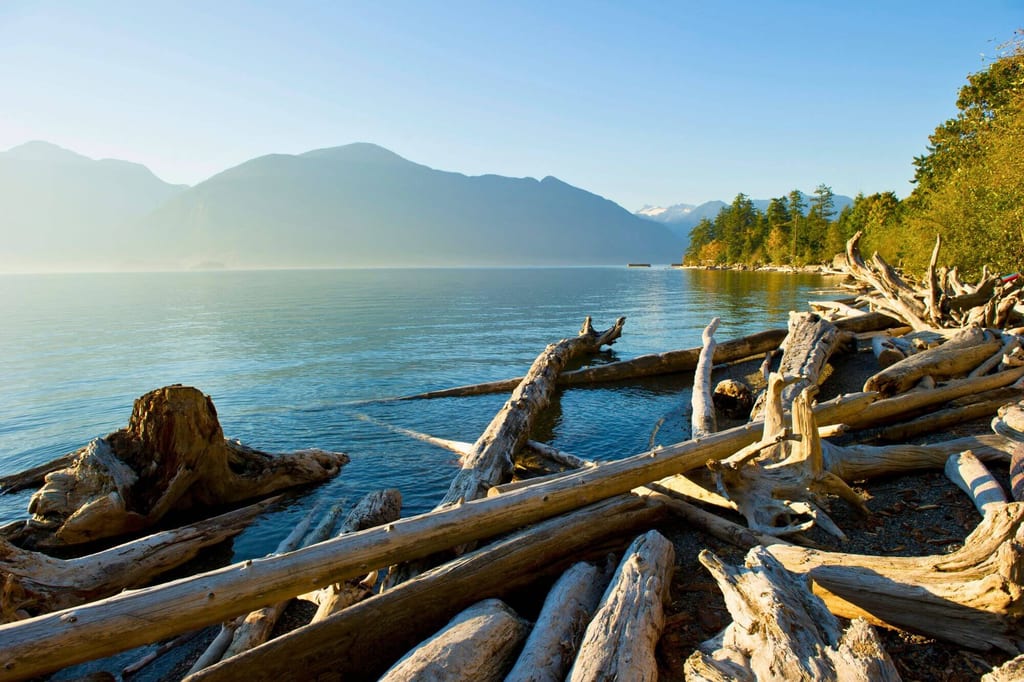 Treibholz am Ufer von Porteau Cove mit Blick auf den Howe Sound und die Berge im Hintergrund