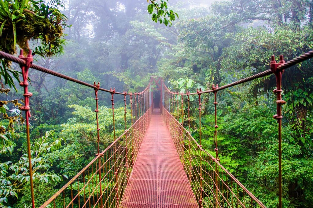 Rote Hängebrücke führt durch nebligen Nebelwald in Monteverde, Costa Rica.