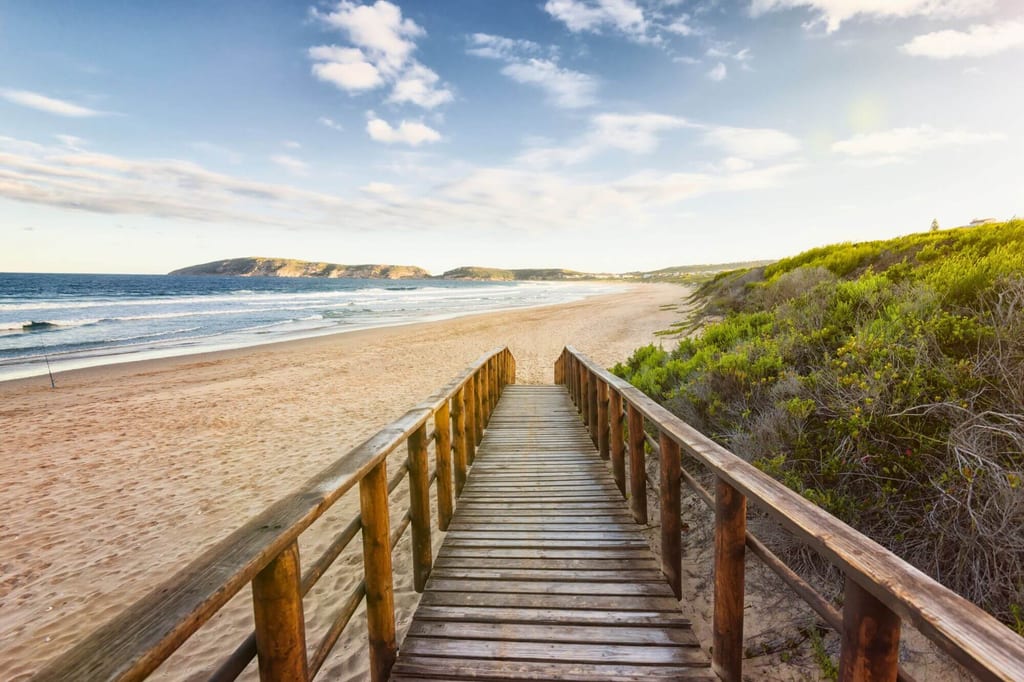 Hölzerner Bohlensteg führt durch Dünen zum weiten Sandstrand bei Plettenberg Bay, Südafrika