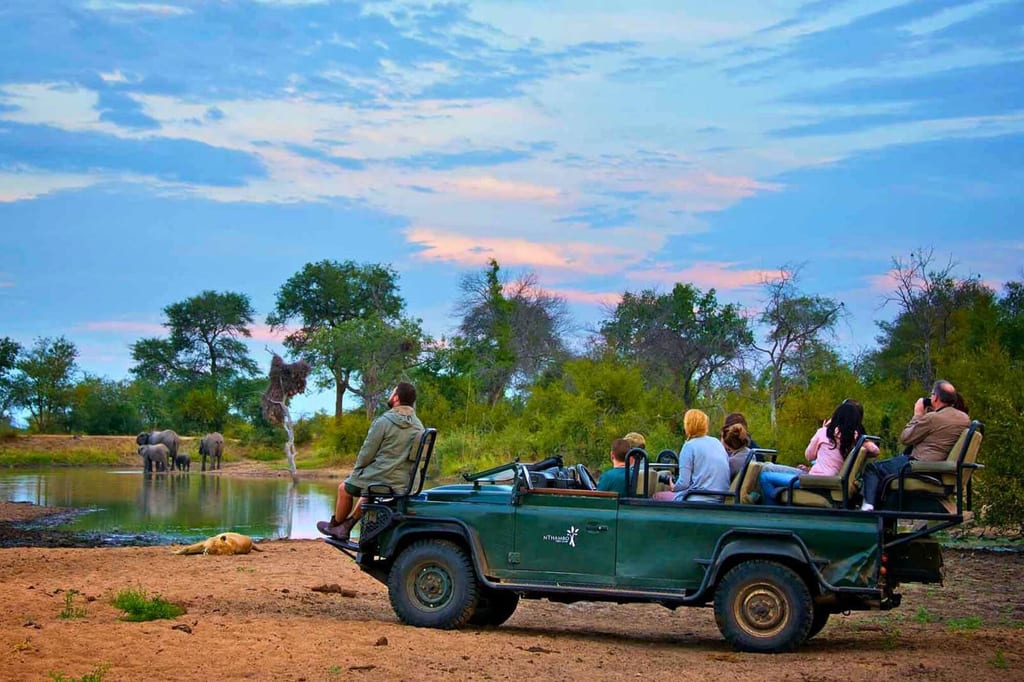 Safari-Fahrzeug mit Beobachtern am Wasserloch, Elefanten am Ufer und ein ruhender Löwe im Vordergrund bei Dämmerung.