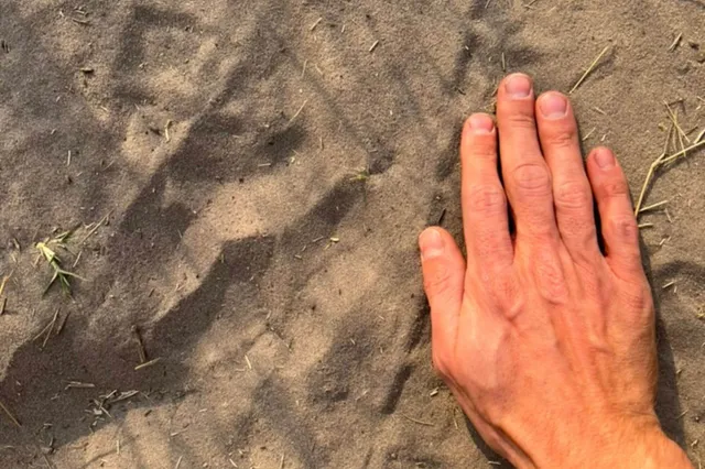 Hand auf feinem Sand mit unbestimmten Spuren und Grasresten, warmes Abendlicht, Vogelperspektive.