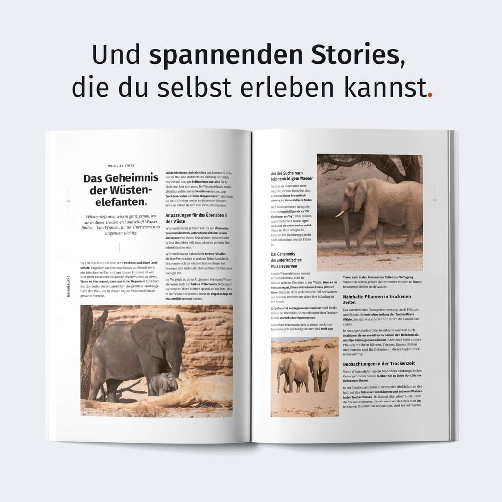 Magazin-Doppelseite mit Fotos von Elefanten in trockener Landschaft und begleitendem Text.