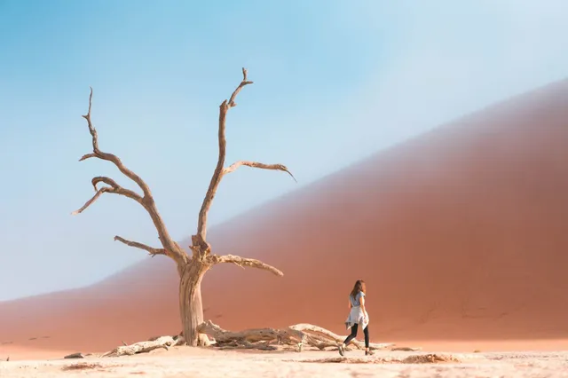 Im Deadvlei stehen mehrere abgestorbene Kameldornbäume und manchmal reicht der Küstennebel bis ins Sossusvlei