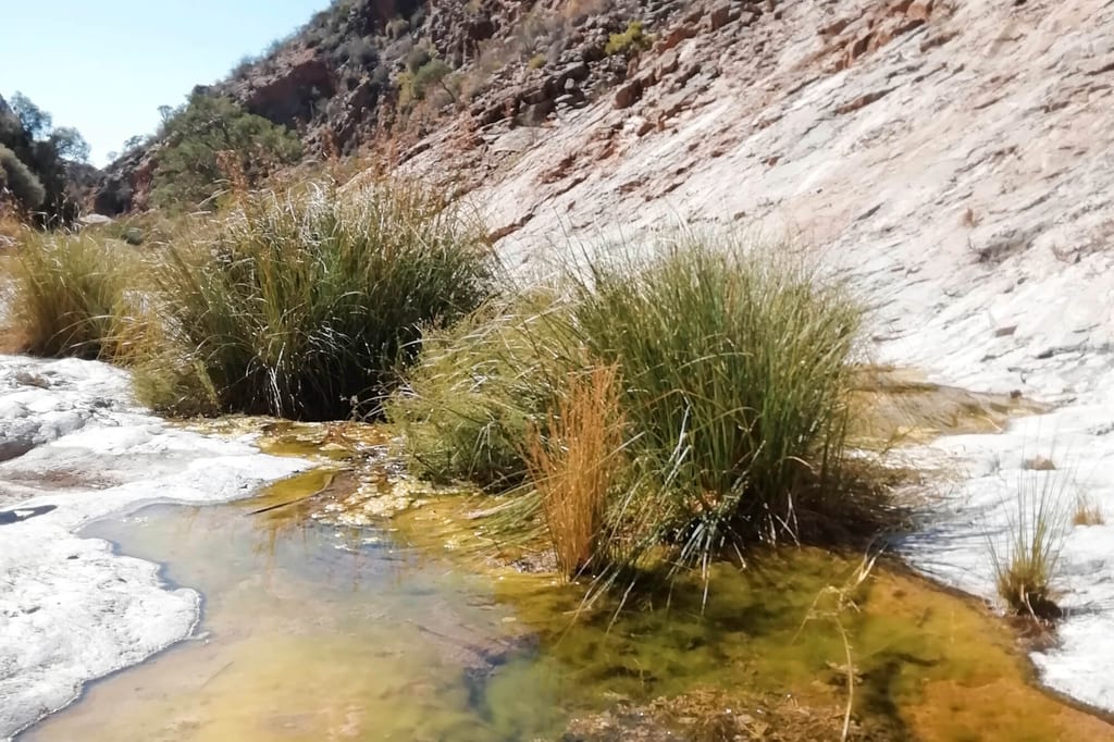 Felsiger Canyon mit kleinen Wasserpools und dichten Grasbüscheln in grellem Sonnenlicht.