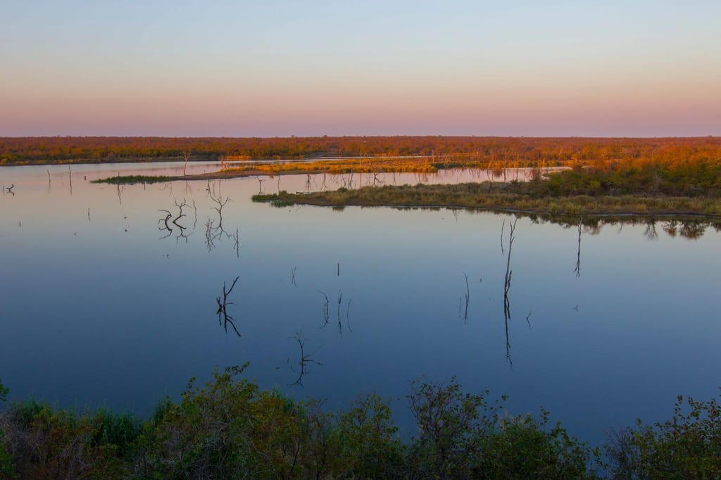 Weite Feuchtlandschaft mit ruhigem Wasser und abgestorbenen Baumstümpfen im warmen Morgen-/Abendlicht.