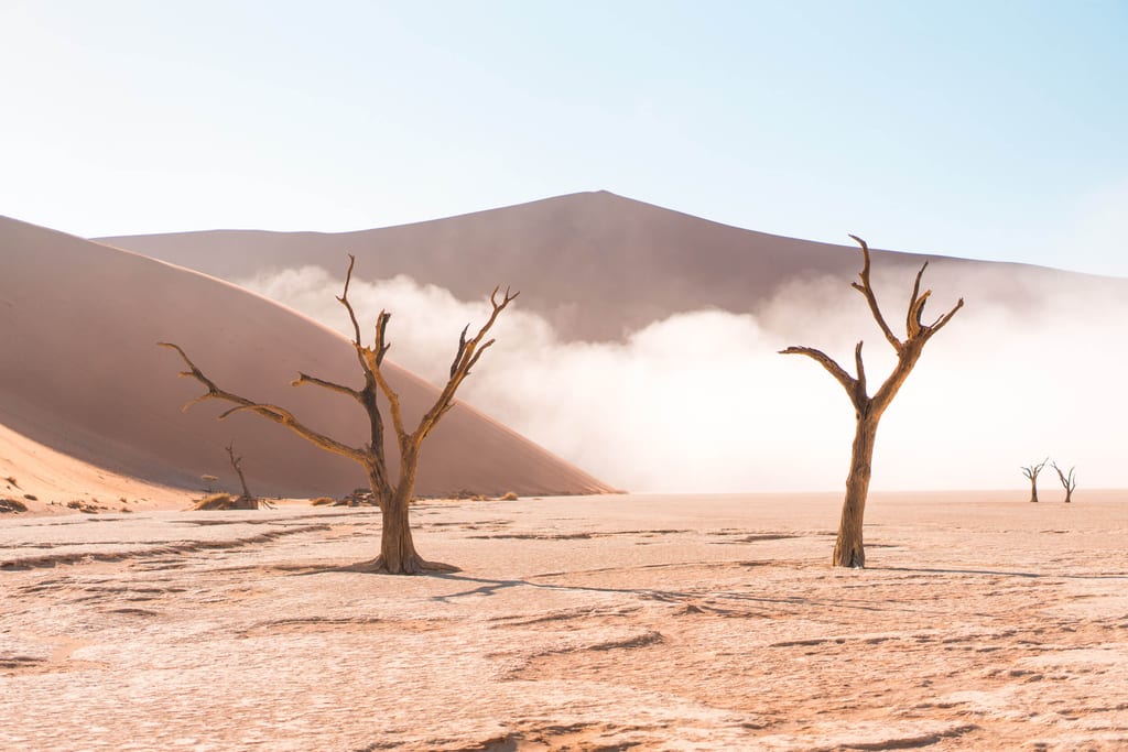Nebel verzieht sich im Deadvlei