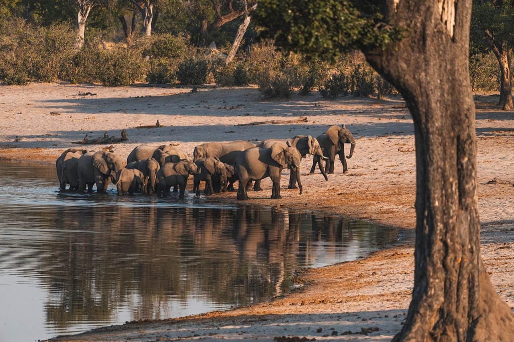 Namibia Nationalparks