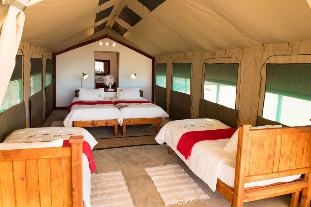 Innenraum eines Safari-Zeltes mit vier Betten, weißen Laken und roten Decken