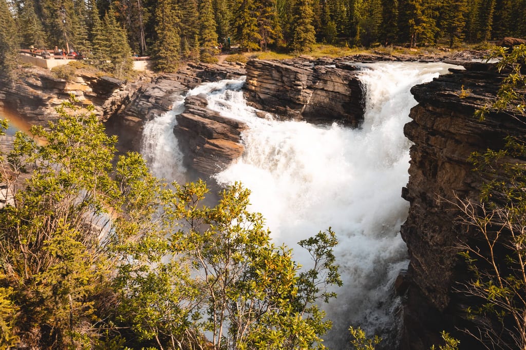 Athabasca Falls im Jasper Nationalpark