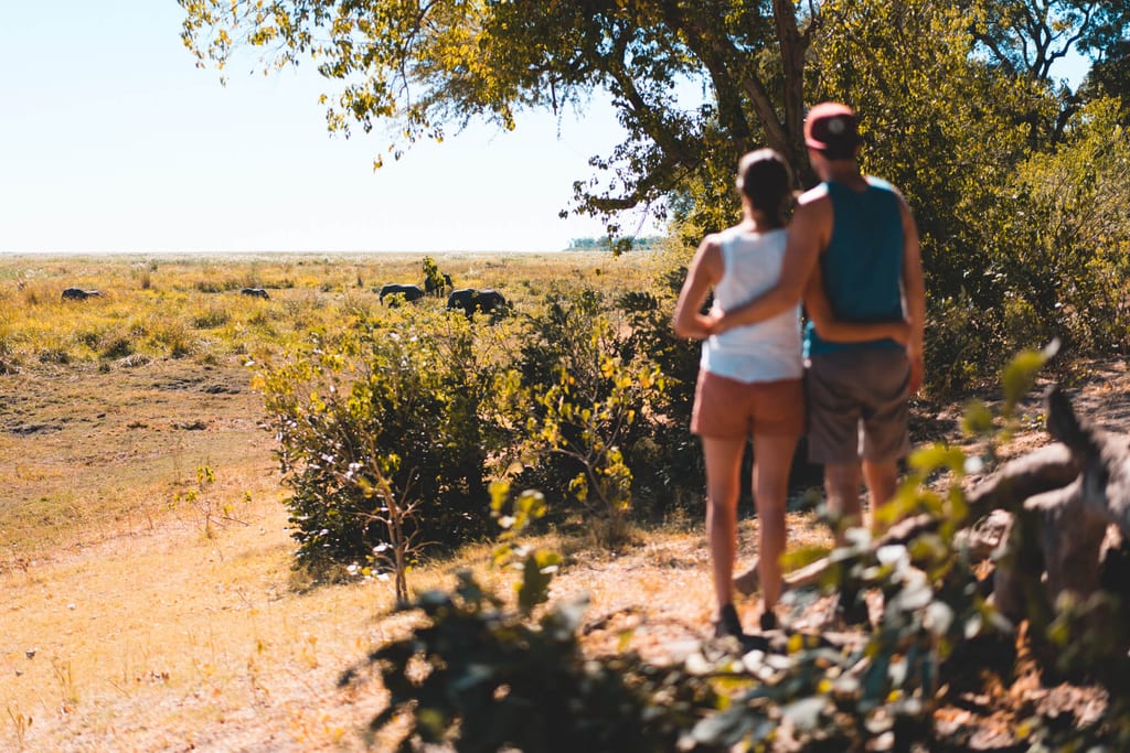 Elefanten Beobachtung auf einer Rundreise in Botswana